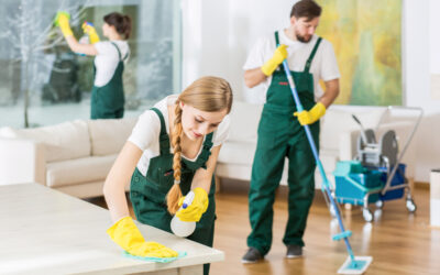 Hiring A Professional House Cleaning Company VS An Independent Cleaner