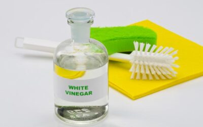 How To Clean Your Kitchen and Bathroom With Vinegar