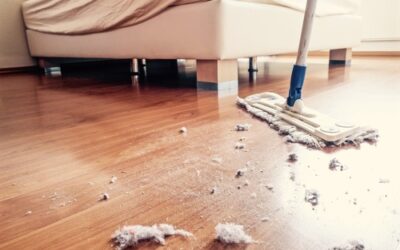 17 Surefire Ways to Reduce Dust in Your Home