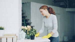A professional cleaner